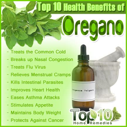 Oregano Juice Health Benefits - Best Juice Images