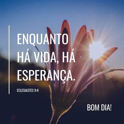 20 mensagens bíblicas de bom dia que vão encantar seus contatos