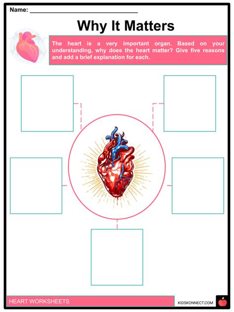 Heart Worksheet For Grade 2