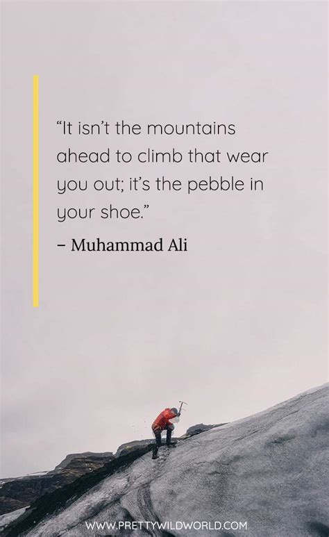 Best Climbing Quotes: The 35 Quotes About Climbing Obstacles - 2024