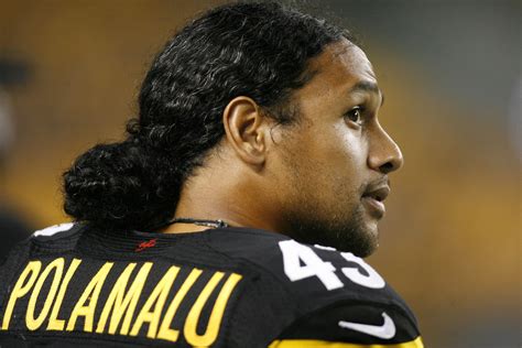 Troy Polamalu Wallpapers Images Photos Pictures Backgrounds