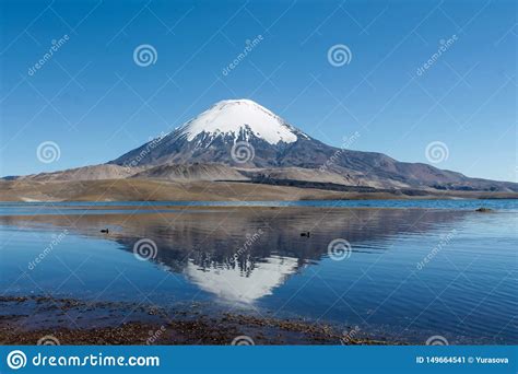 Volcano Parinacota Snow Top in Chile and Bolivia Stock Image - Image of ...