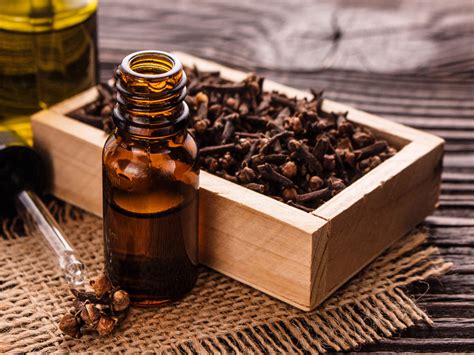 Here's how clove oil is beneficial for your skin! - Times of India