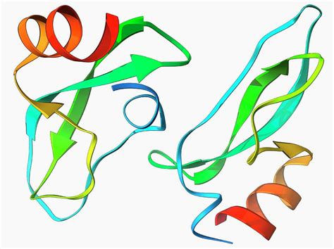 Amyloid Precursor Protein Molecule Photograph by Laguna Design/science Photo Library