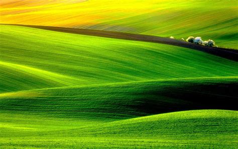 Green Meadow Wallpapers - Top Free Green Meadow Backgrounds - WallpaperAccess