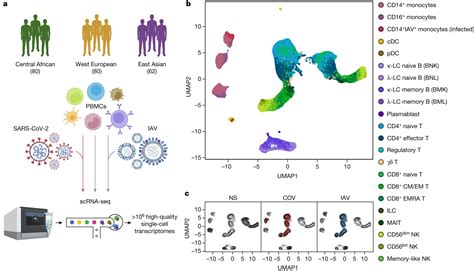 Neanderthals, environment, and evolution behind SARS-CoV-2 immune responses