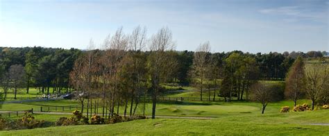 Hooked: Ireland's Golf Courses: Royal Curragh in a Perfect Light