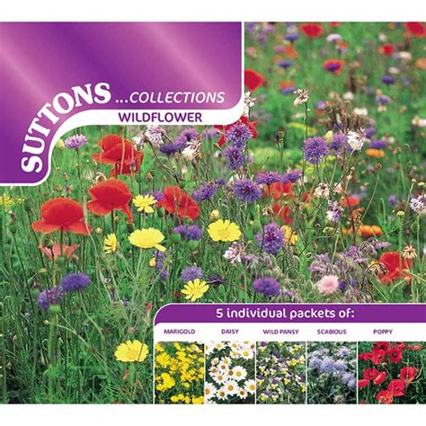 Wildflower Collection, Seeds - - Dobbies Garden Centres | Wild flowers ...