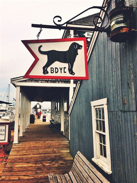 Preppy Paradise | Black dog cafe, New england, Dog cafe