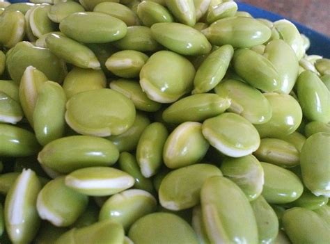 Field Beans at Rs 24 in Pune - ID: 5485729 | Pisum Food Services Pvt Ltd