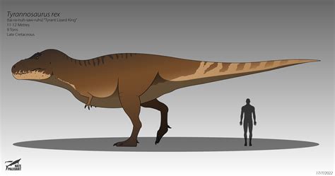 Tyrannosaurus rex 2022 by NatePaleoart on DeviantArt