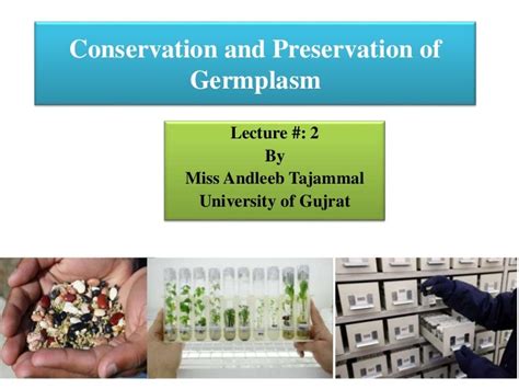 Conservation and preservation of germplasm