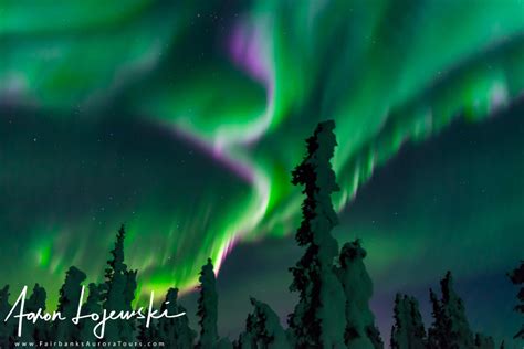 Fairbanks Aurora Tours - Northern Lights Tours in Alaska - Fairbanks Aurora Tours