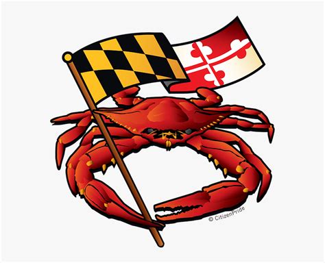 Maryland Flag Crab, HD Png Download , Transparent Png Image - PNGitem