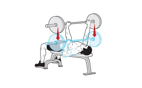 A Guide to Perfect Barbell Bench Press Technique for Stubborn Chest Muscles