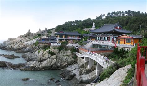 Gimhae Airport/Busan Station - Busan City Taxi/Mini Bus Transfer - Trazy, Korea's #1 Travel Guide