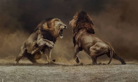 FIGHTING LIONS - Artgram - Paintings & Prints, Animals, Birds, & Fish ...