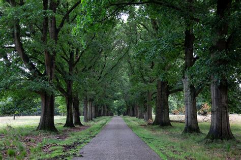 Guide To Exploring The Breathtaking Nature of Nationaal Park De Hoge Veluwe