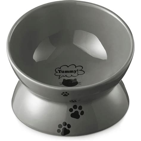 7 BEST CAT BOWLS TO FEED YOUR HUNGRY KITTY!