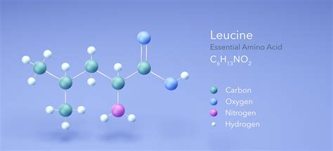 4 Impressive Benefits Of Leucine