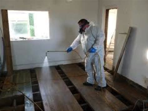 Woodworm Treatment London