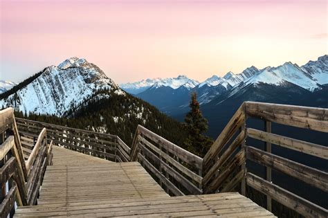 Banff Gondola (Sulphur Mountain Gondola) • Price, Tickets, & Information