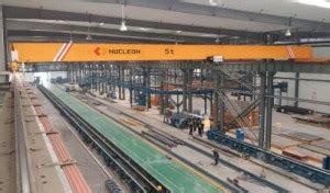 5 Ton Bridge Crane Installation for Pakistan steel mill Ltd-nucleon ...