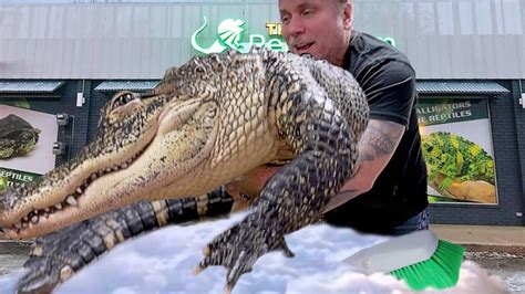 GIVING MY HUGE PET ALLIGATOR A BATH!! | BRIAN BARCZYK - YouTube | Give ...