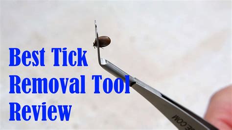 Best Tick Removal Tool Review | Tick removal, Ticks, Removal tool