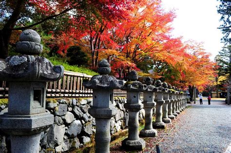 Koyasan: A Mystical Mountain Draped in Autumn leaves