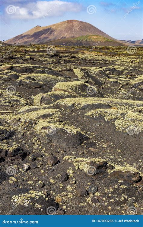 Volcanic Landscape at Lanzarote. Canary Islands Stock Image - Image of national, park: 147093285