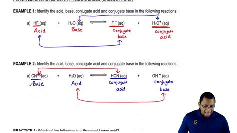 Bronsted lowry acid and base examples | examquiz