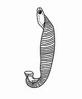A Leech Coloring Page  Free Printable Pages For Kids sketch template