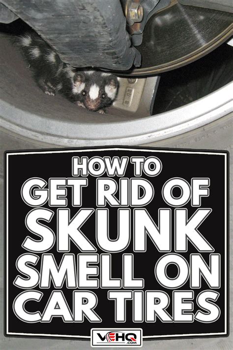 How To Get Skunk Smell Off Car Tires?