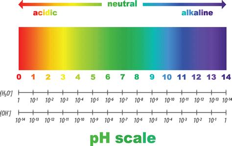 The More Alkaline The Better? Is A PH Of 9.5 Healthier Than 7.5 In Drinking Water?