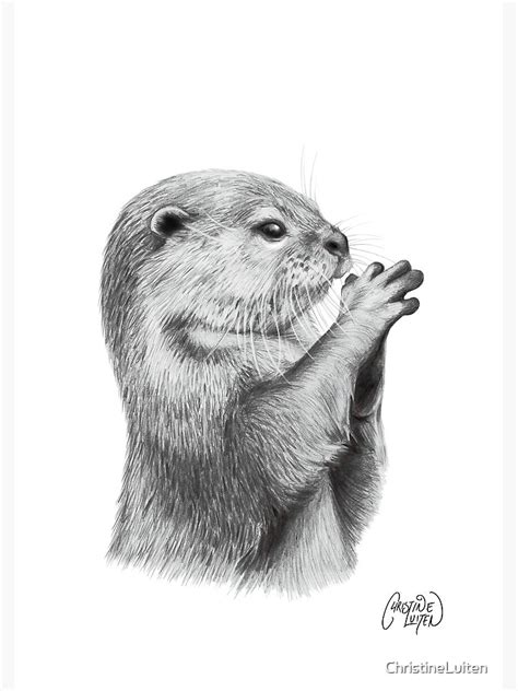 "Otter Pencil Sketch" Poster for Sale by ChristineLuiten | Redbubble