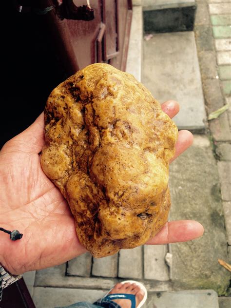 Gold nuggets 1kg. | Natural gold nugget, Gold nugget, Gold specimens