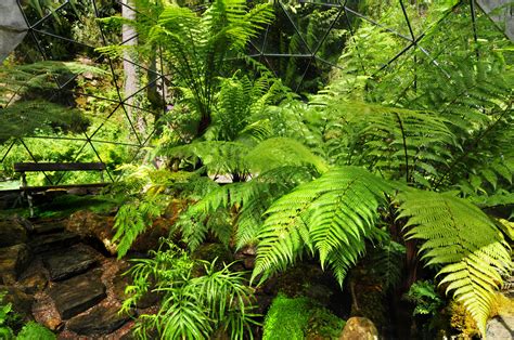 Garden In Pictures — Attadale Gardens, Wester Ross, Scotland