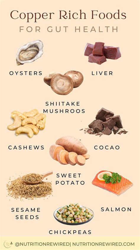 Copper Rich Foods for Gut Health | Gut health recipes, Dog food recipes, Food facts