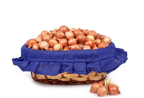 Shallot onions stock photo. Image of peel, nutrition - 24156304