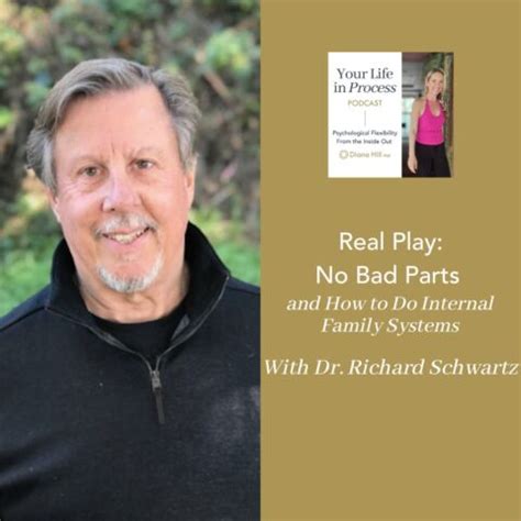 Real Play: No Bad Parts and How to Do Internal Family Systems (IFS ...