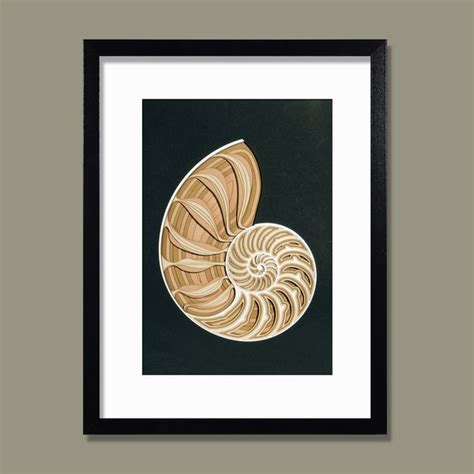 Nautilus Shell Art - Etsy