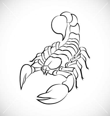 Scorpion Outline