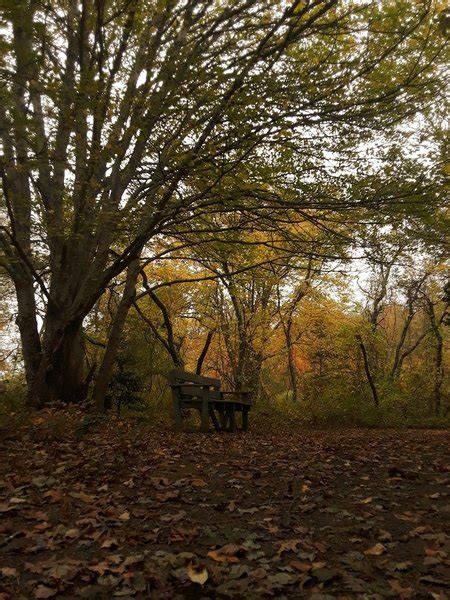 Ninigret National Wildlife Refuge Hiking Trail, Charlestown, Rhode Island