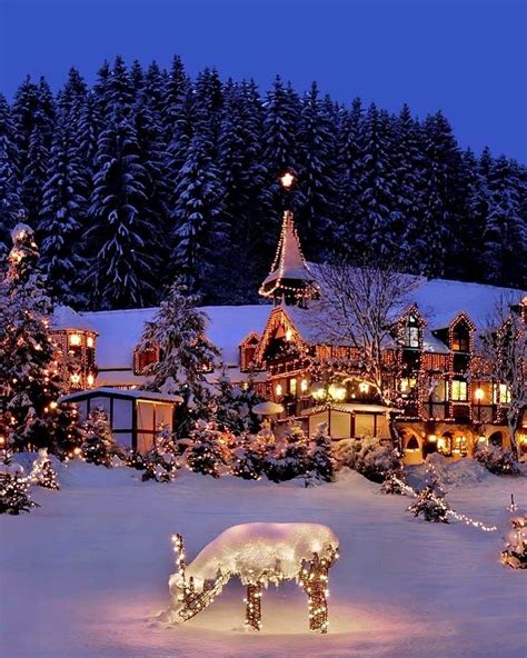 December night ️ 🎄 #holidaysarecoming #xmasdecor #christmasdecor #chri in 2020 | Christmas night ...