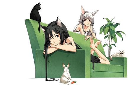 Carrot, tail, black hair, black cat, lying on the sofa, anime cat girl black hair HD wallpaper ...