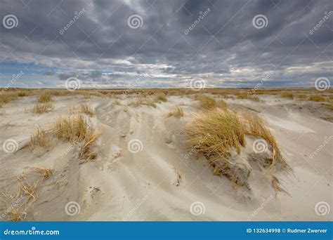 Process of Coastal Dune Formation Stock Photo - Image of beach, dunegrass: 132634998