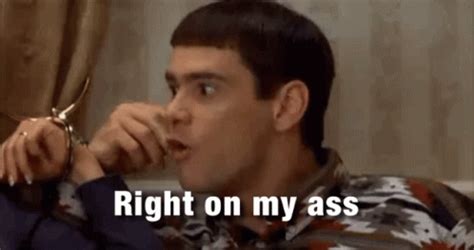 Dumb And GIF - Dumb And Dumber - Discover & Share GIFs