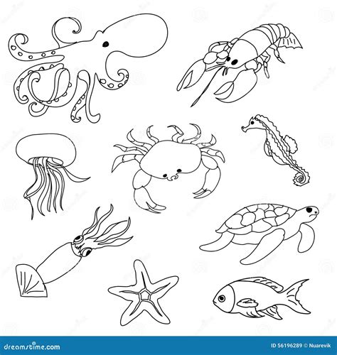 Sea Animals Coloring Page Stock Illustration - Image: 56196289