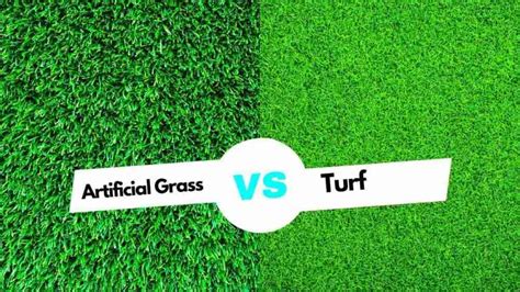 Artificial Grass vs Turf: Best Choice for Home or Business?